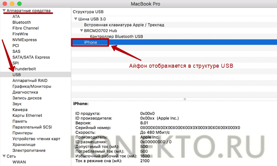 Не видит айфон через usb. На этом устройстве не обнаружено изображений или видео iphone. Макбук не видит айфон. Что делать если компьютер видит не все фото с айфон. Где в компьютере посмотреть память эпл.