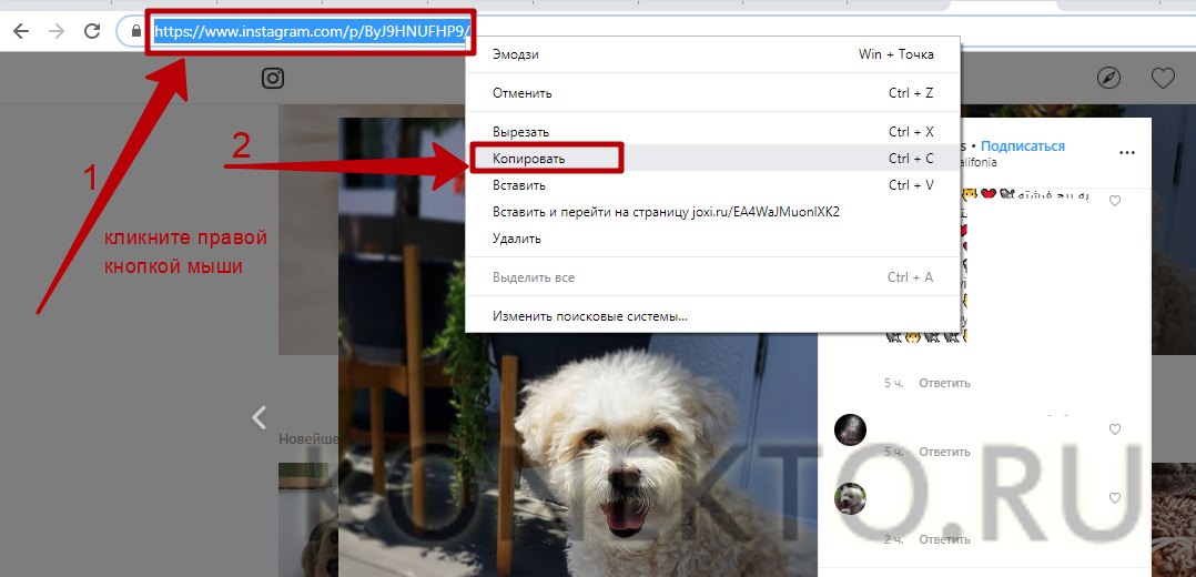 Ссылка видео с инстаграмма. Скопировать фото из Инстаграм. Как Копировать фото из инстаграма. Как сохранить фото из инстаграма на компьютер. Как сохранить фотографию в Instagram.
