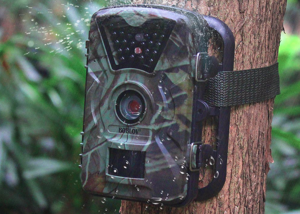камера для охоты алиэкспресс